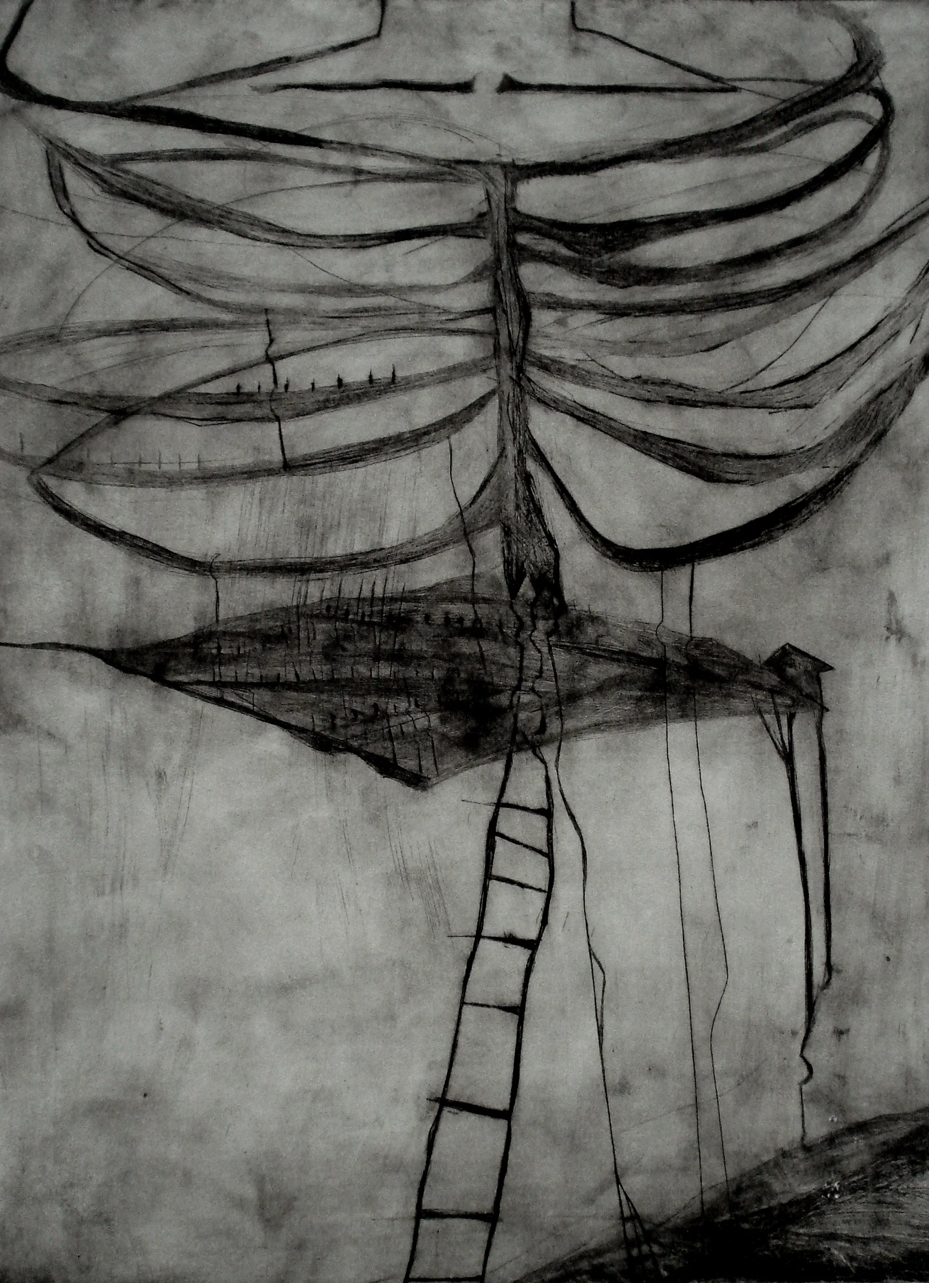 if the whole scene could fit in my rib cage