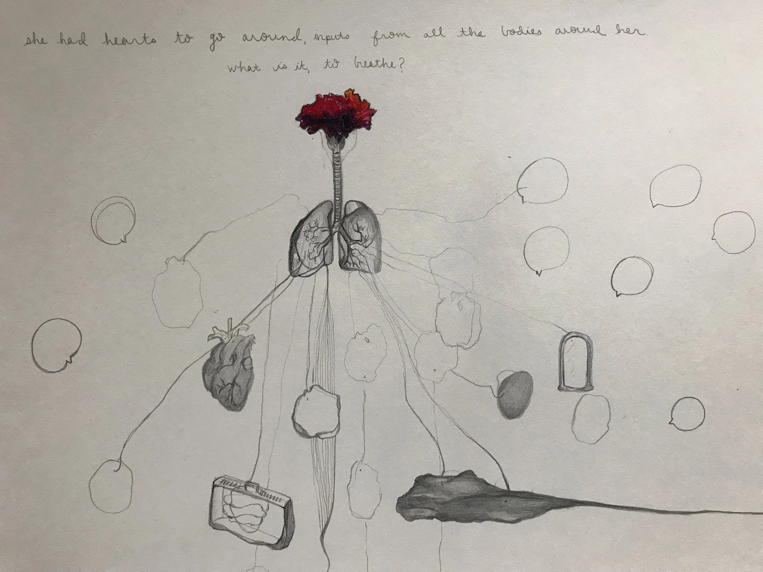 breath to go around, lungs to distribute