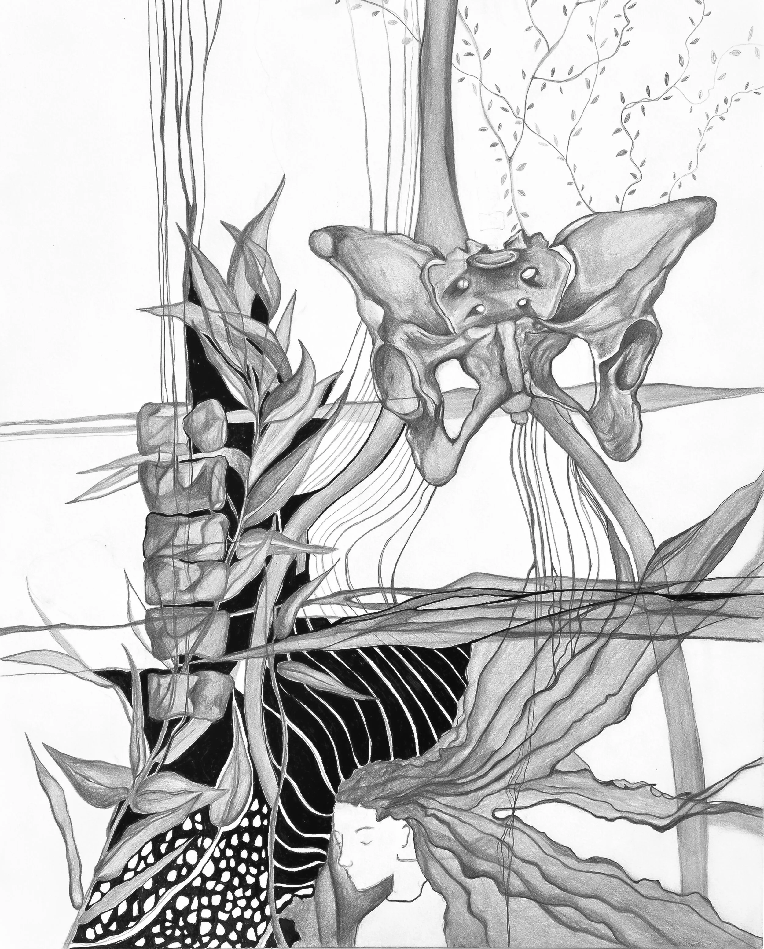 in here -Edit_edit.JPG