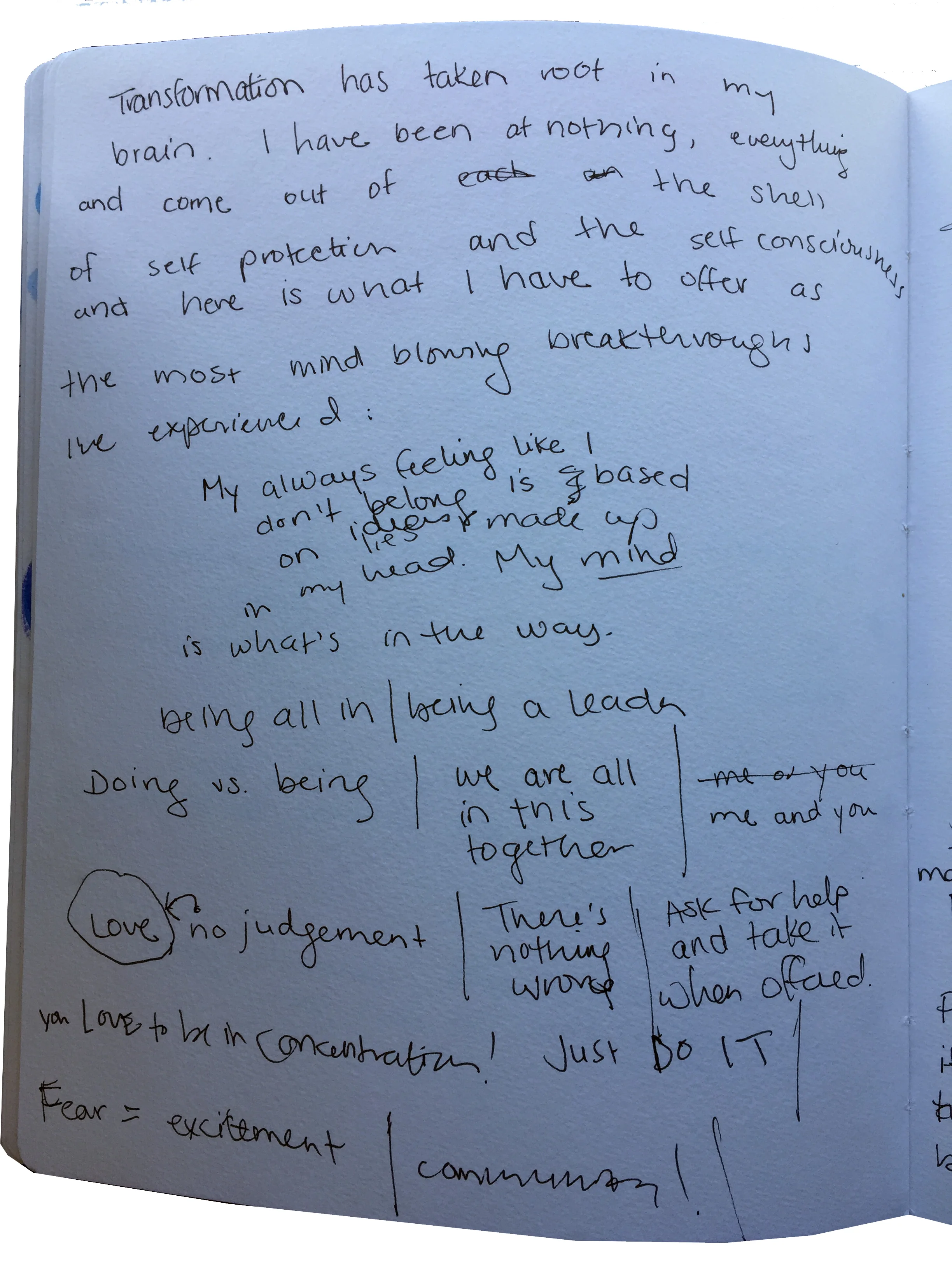journal_takenroot.jpg