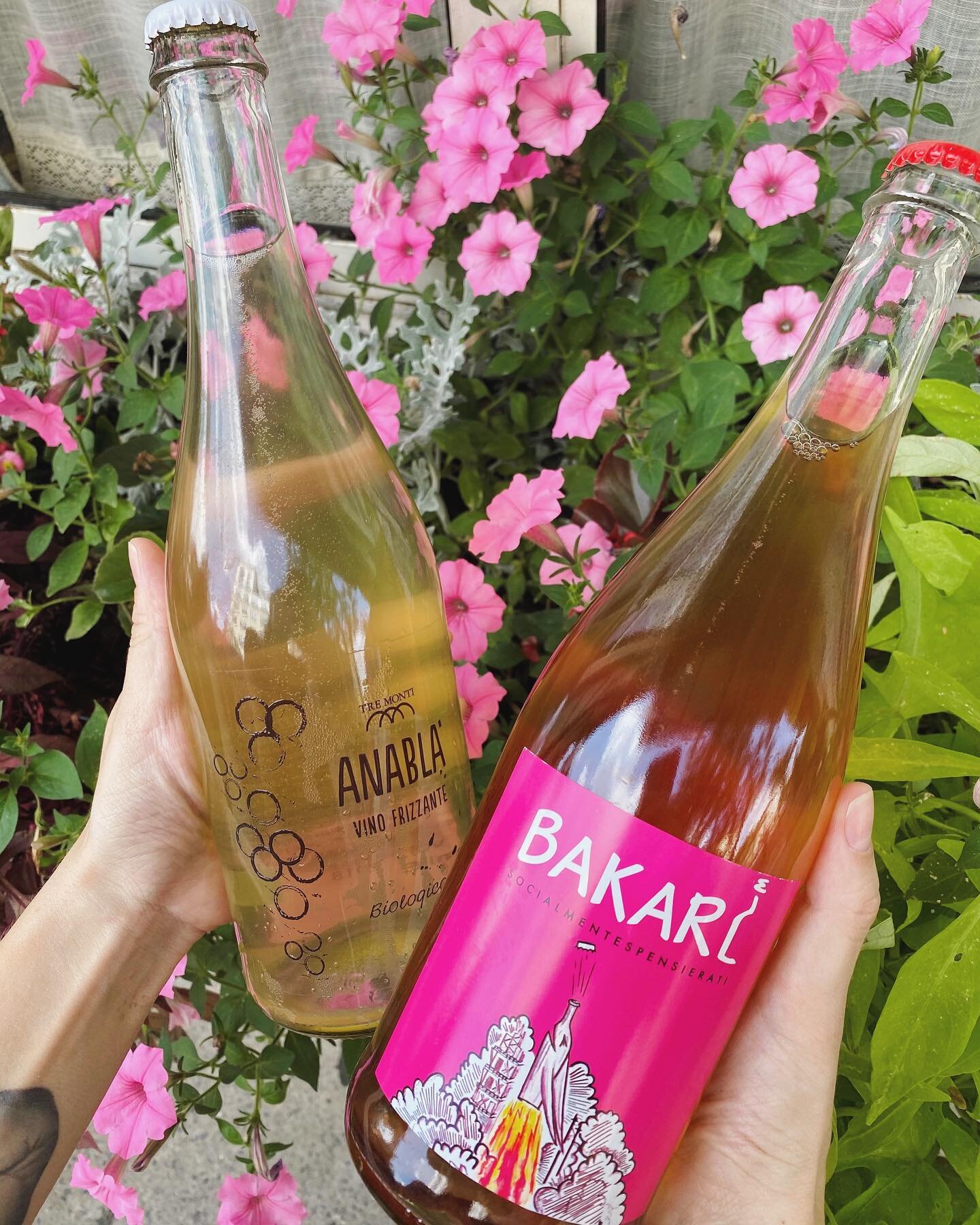 Great things come in pairs! ⠀
Natural sparkling Rose from Veneto and organic Pet Nat from Emilia-Romagna are both fresh and fruity with just right amount of dryness to keep you drinking on this beautiful sunny day! 🥂☀️

#italianwines #org&aacute;nic
