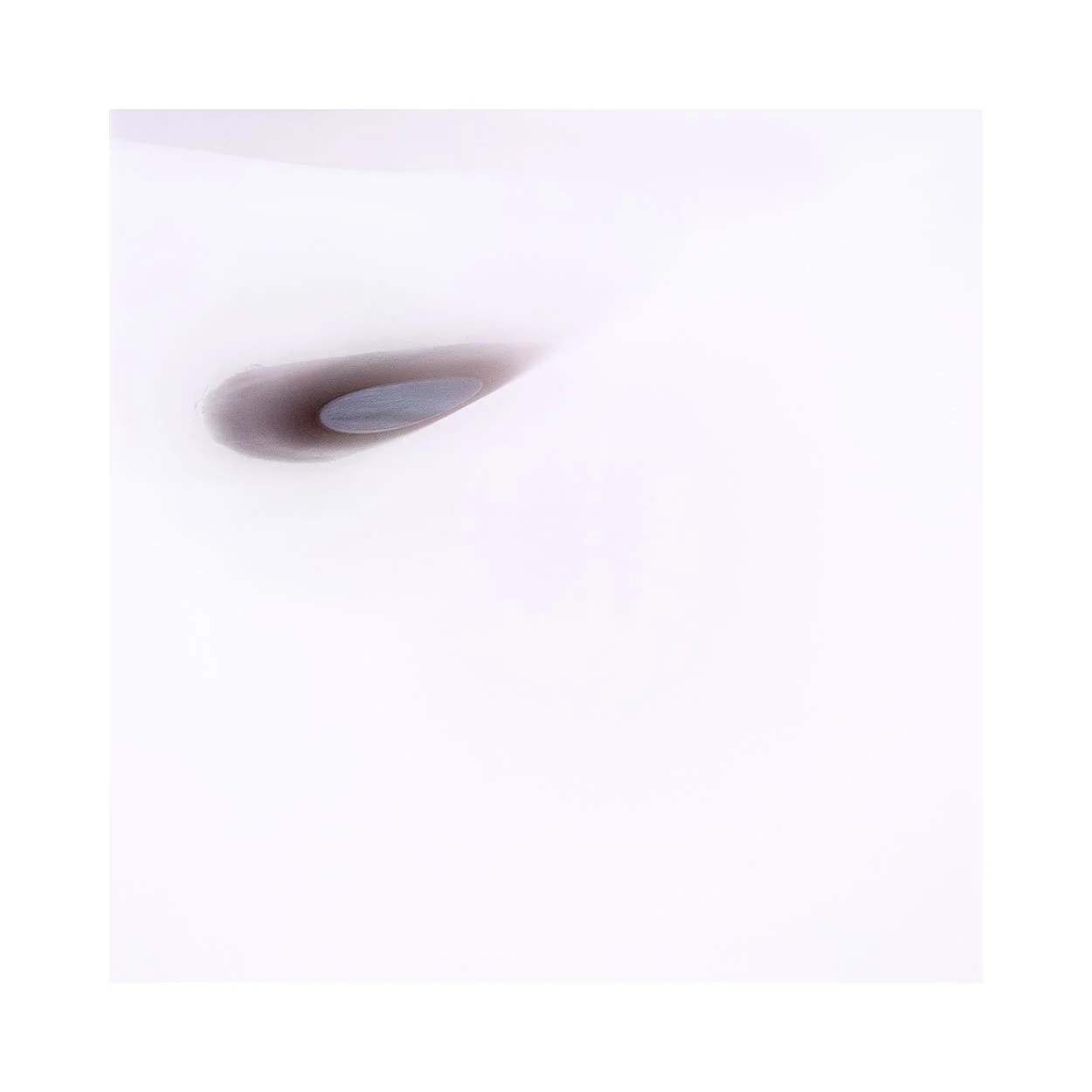 Lencois-2024-(13).jpg