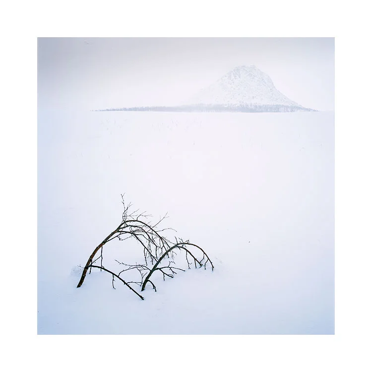 Senja-(6).jpg