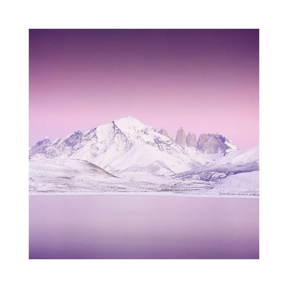Torres-2025-(21).jpg