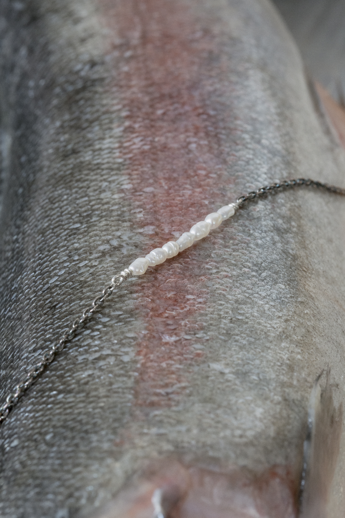 RLAM2427-Edit.jpg