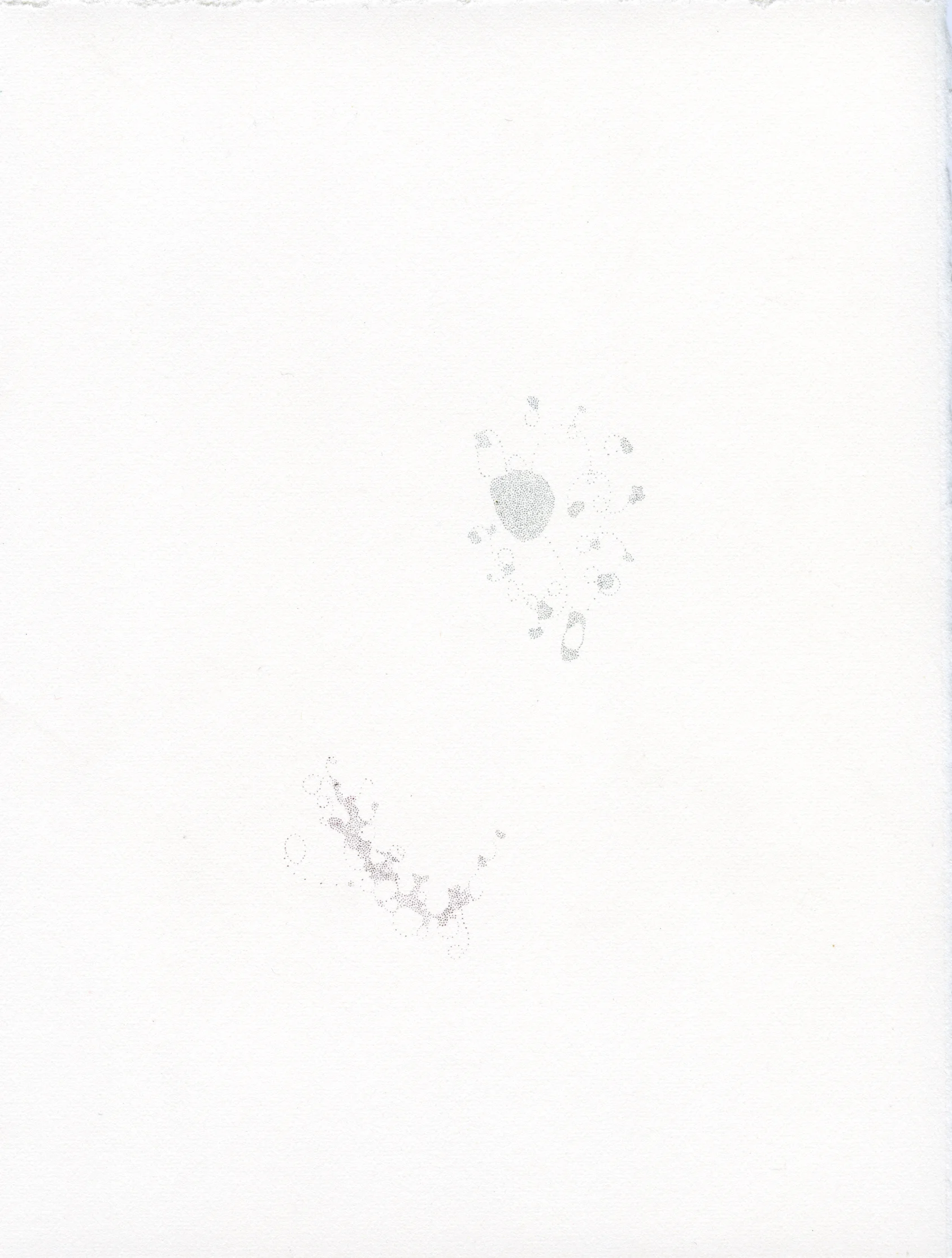 euphoricrecall_2009_5.5x7.5.jpg