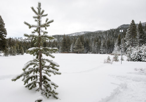BkWater_04_snow.jpg
