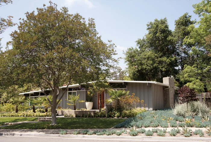 Mid-century modern garden
