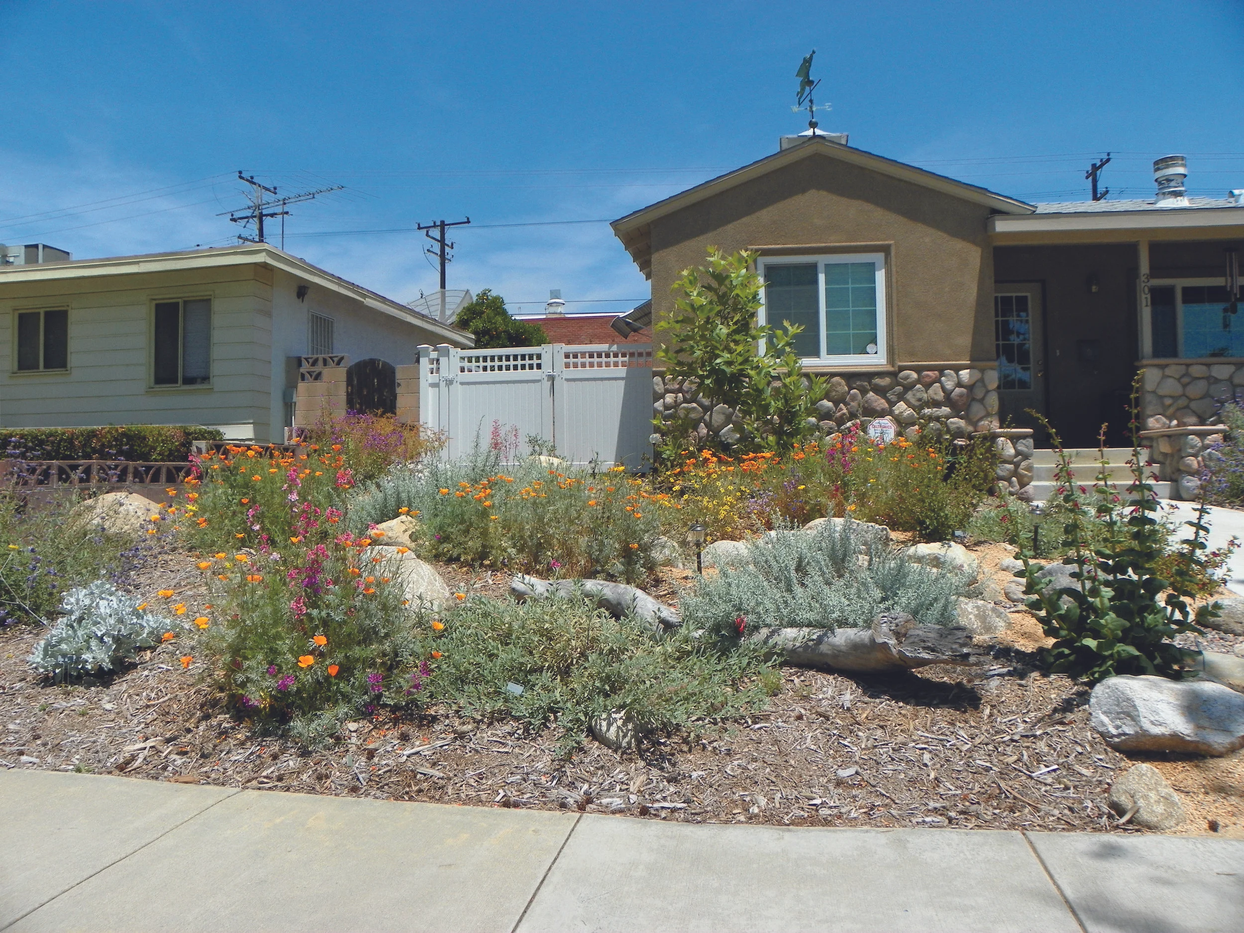 Image © Inland Empire Landscape Contest