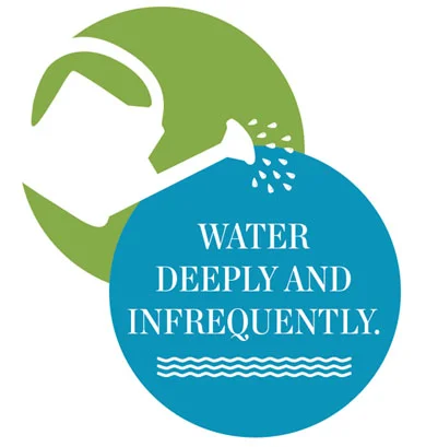waterdeeply.jpg