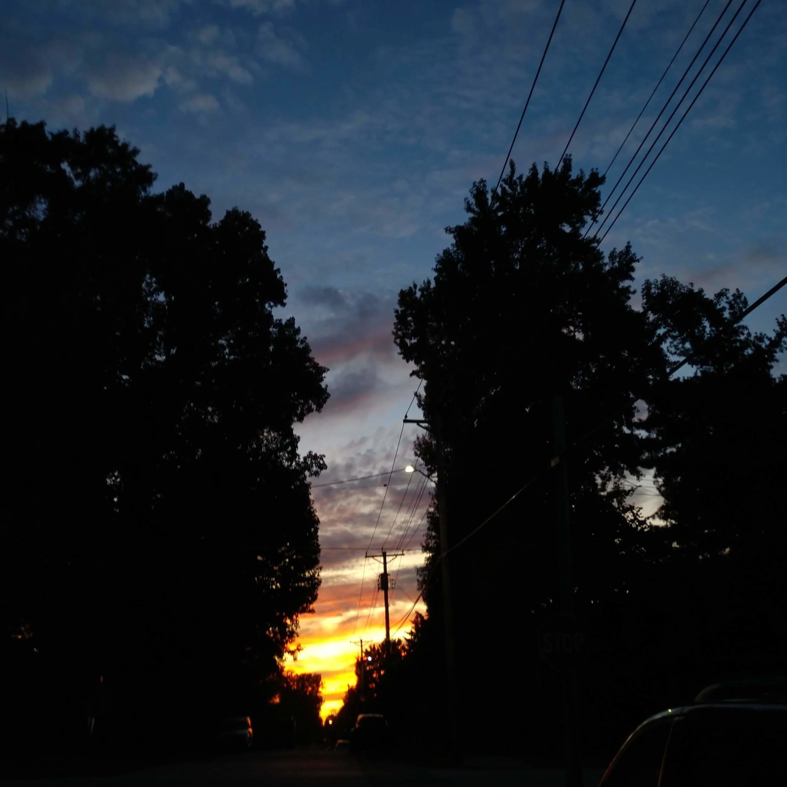 IMG_20190913_192606235.jpg