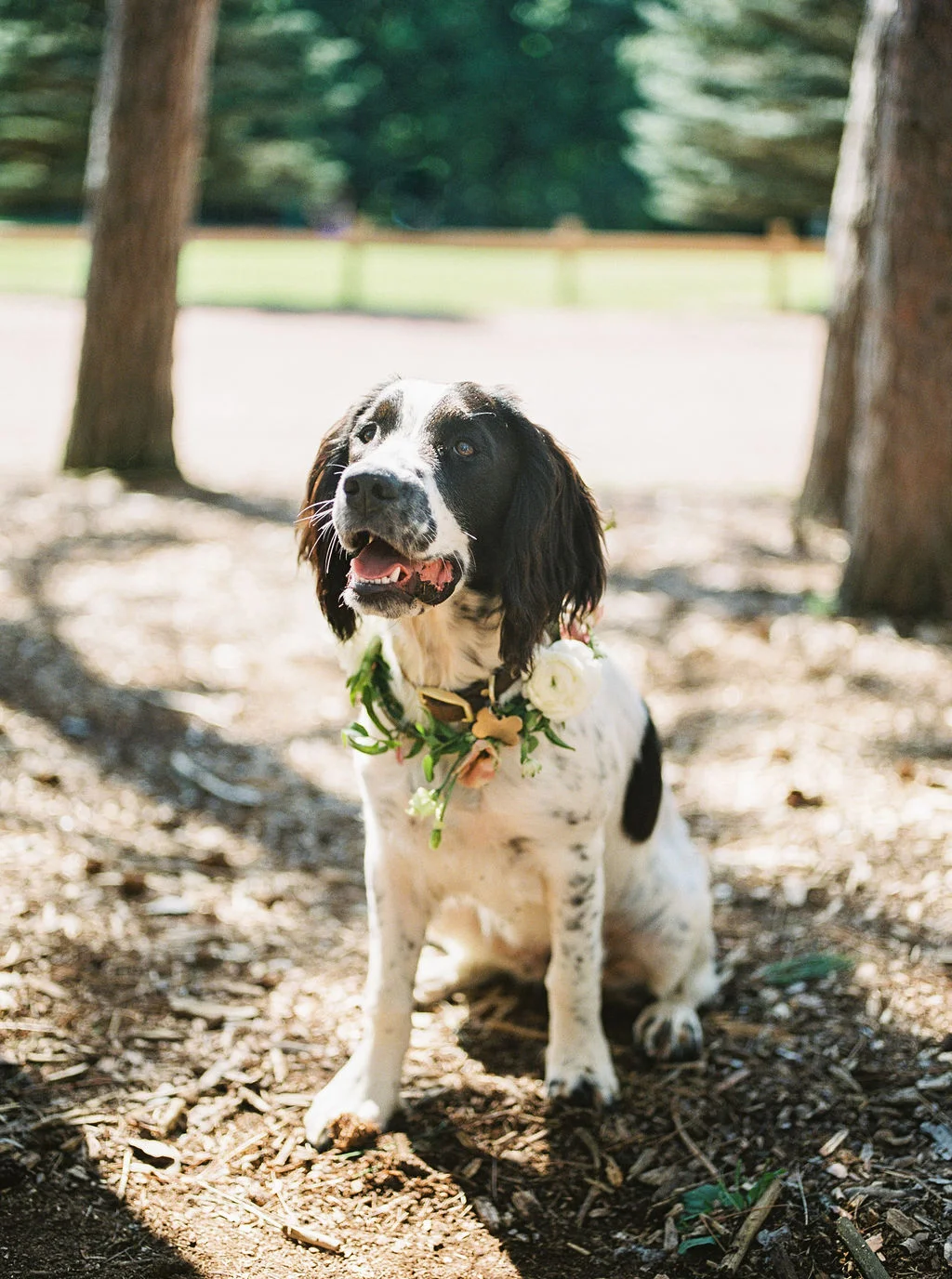 Camp-Sturtevant-Wausau-Wedding-Florist-KaseStyles-18-.jpg