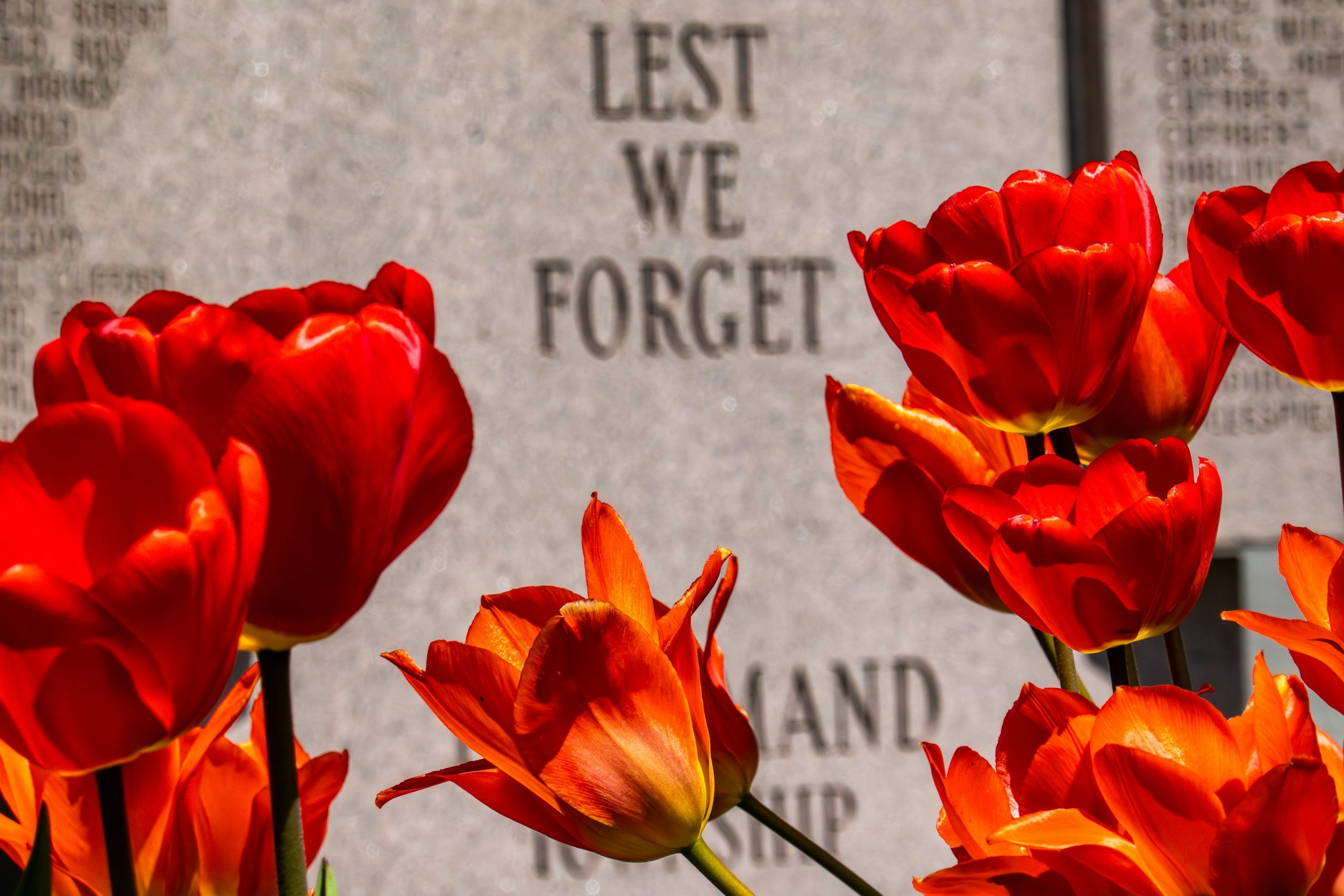 Blessed Memorial Day