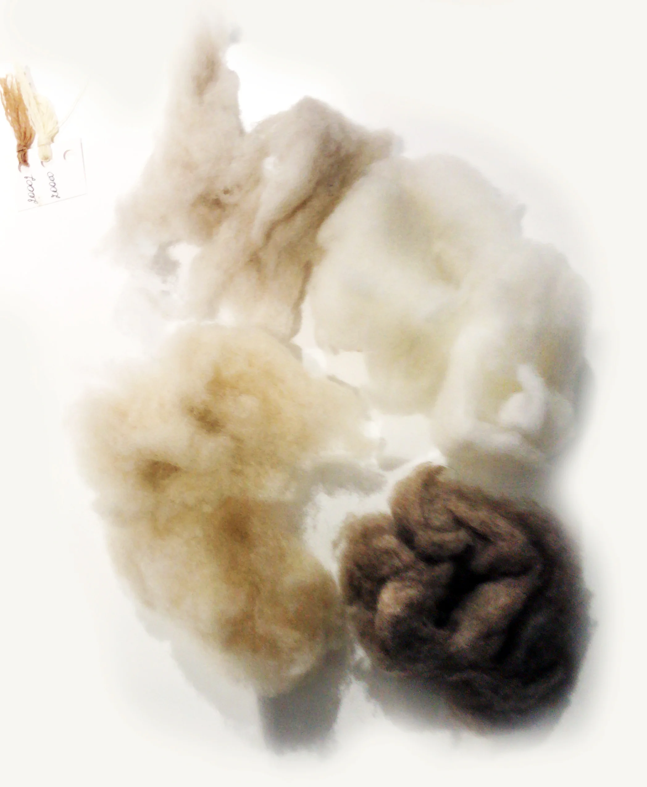 Selected and brushed A grade fibre.Each strand of hair has an average micron of 42mm in length and 16mm width