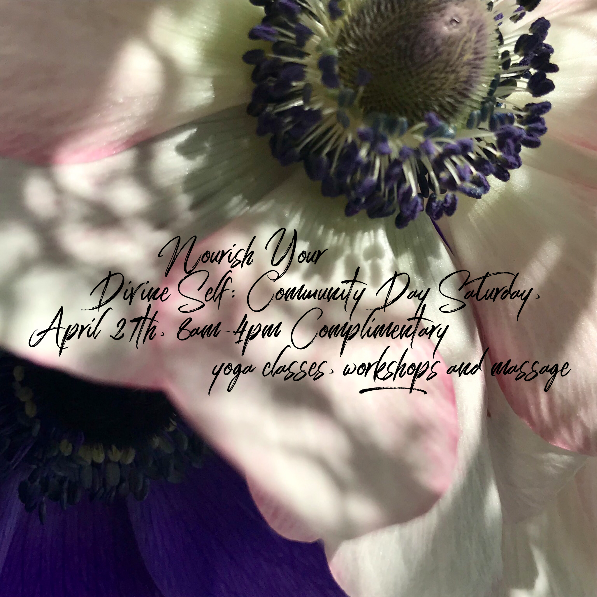 IMG_3440.png