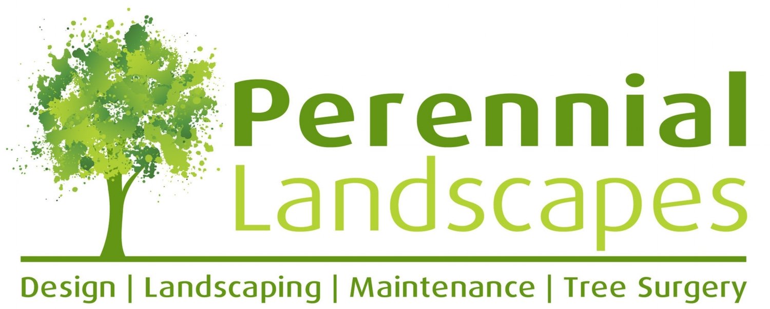 Perennial Landscapes