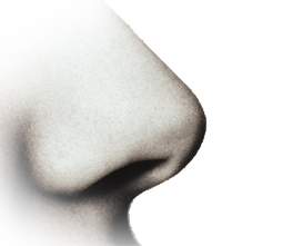 letsblogoff-smell.png
