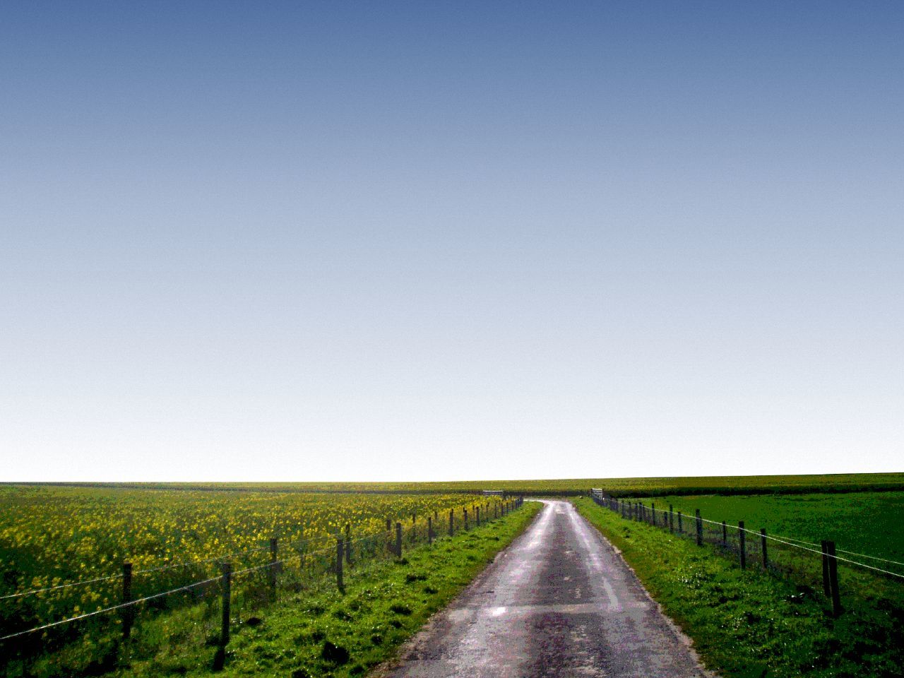 Horizon-Chris-Flickr.jpg