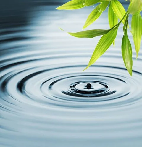 bamboo water drop.jpg