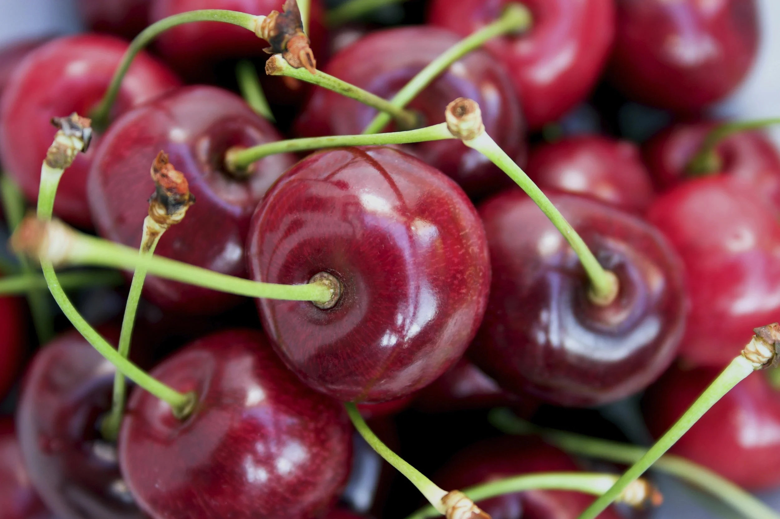 Bing cherries.jpg