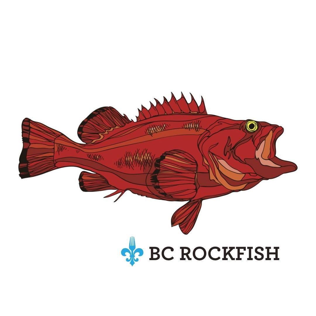 Today's catch for fish &amp; chip Wednesday: BC Rockfish from @EffingSeafoods

Rockfish is a healthy and tasty alternative to Red Snapper, one of the world&rsquo;s most expensive fish. The meat is lean and firm, with an intense flavor that is slightl