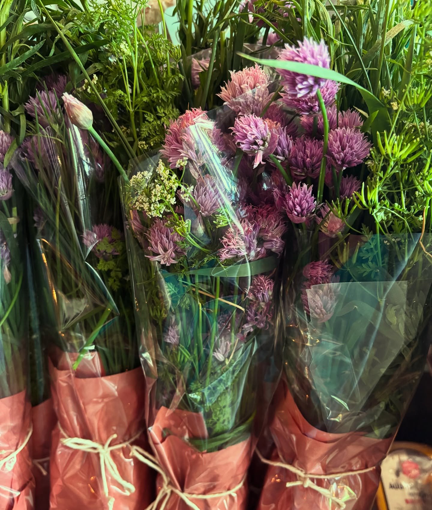 We have some beautiful fresh herb bundles from @sunflowersurbanfarm available (chervil / tarragon / chives) 🌿