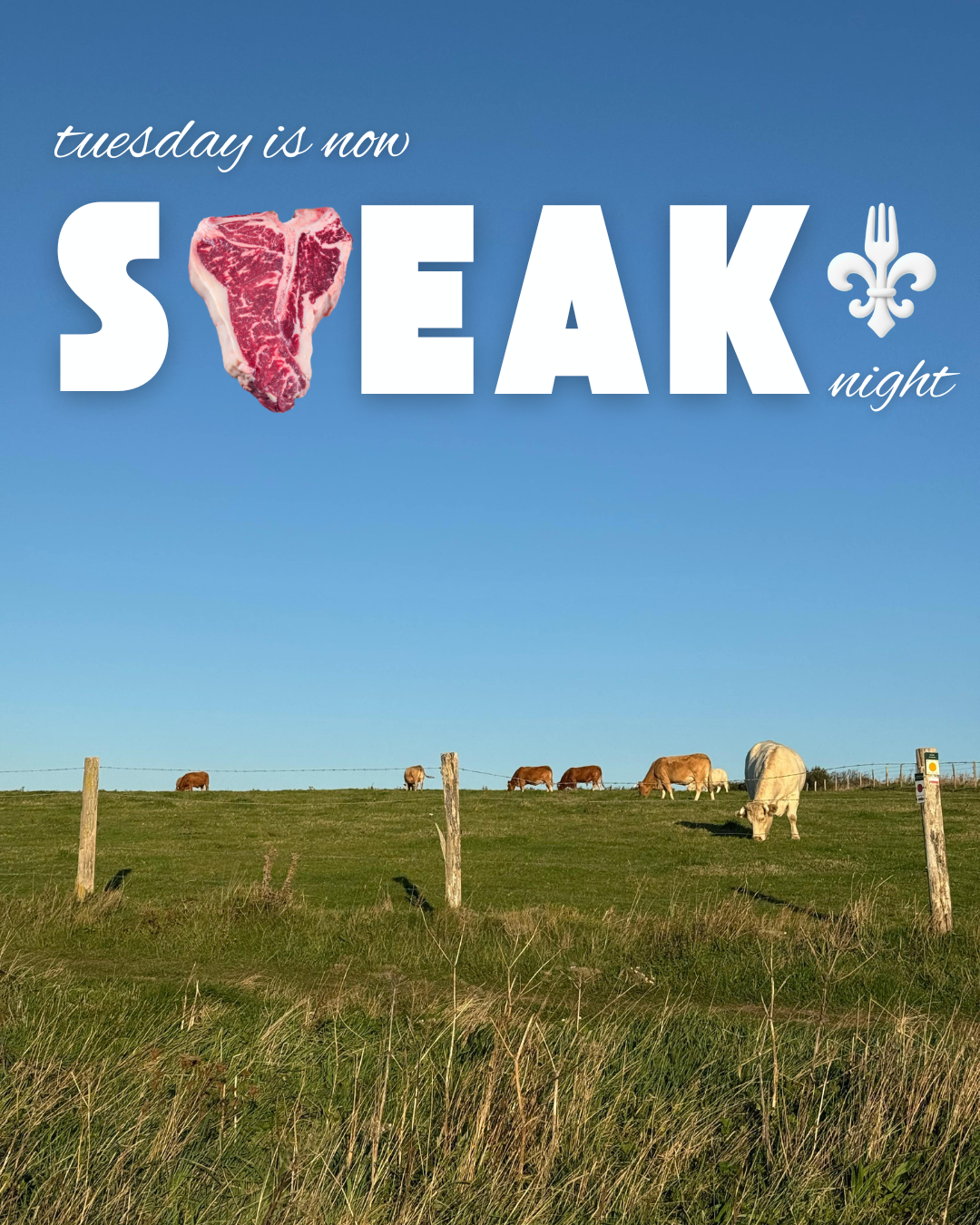 Tuesday is now STEAK NIGHT 