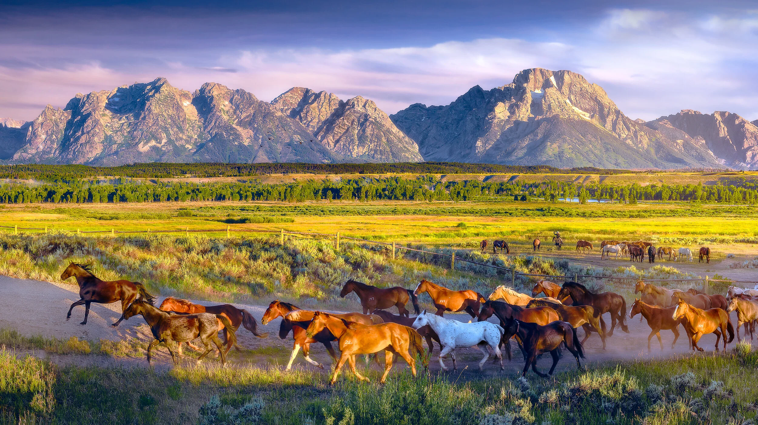 The Wild West (Pano)