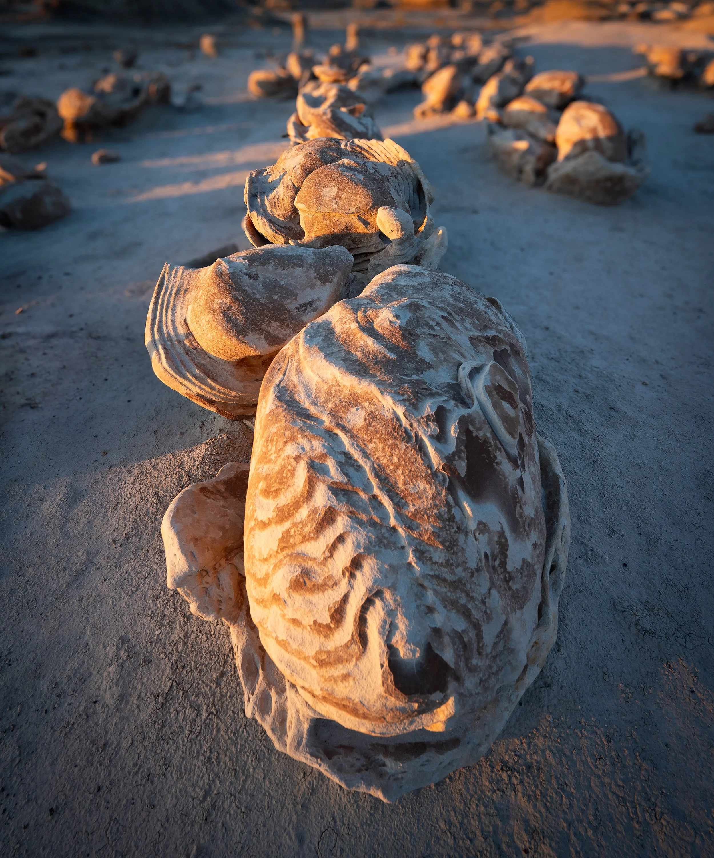 Alien Eggs at Bisti Badlands, New Mexico