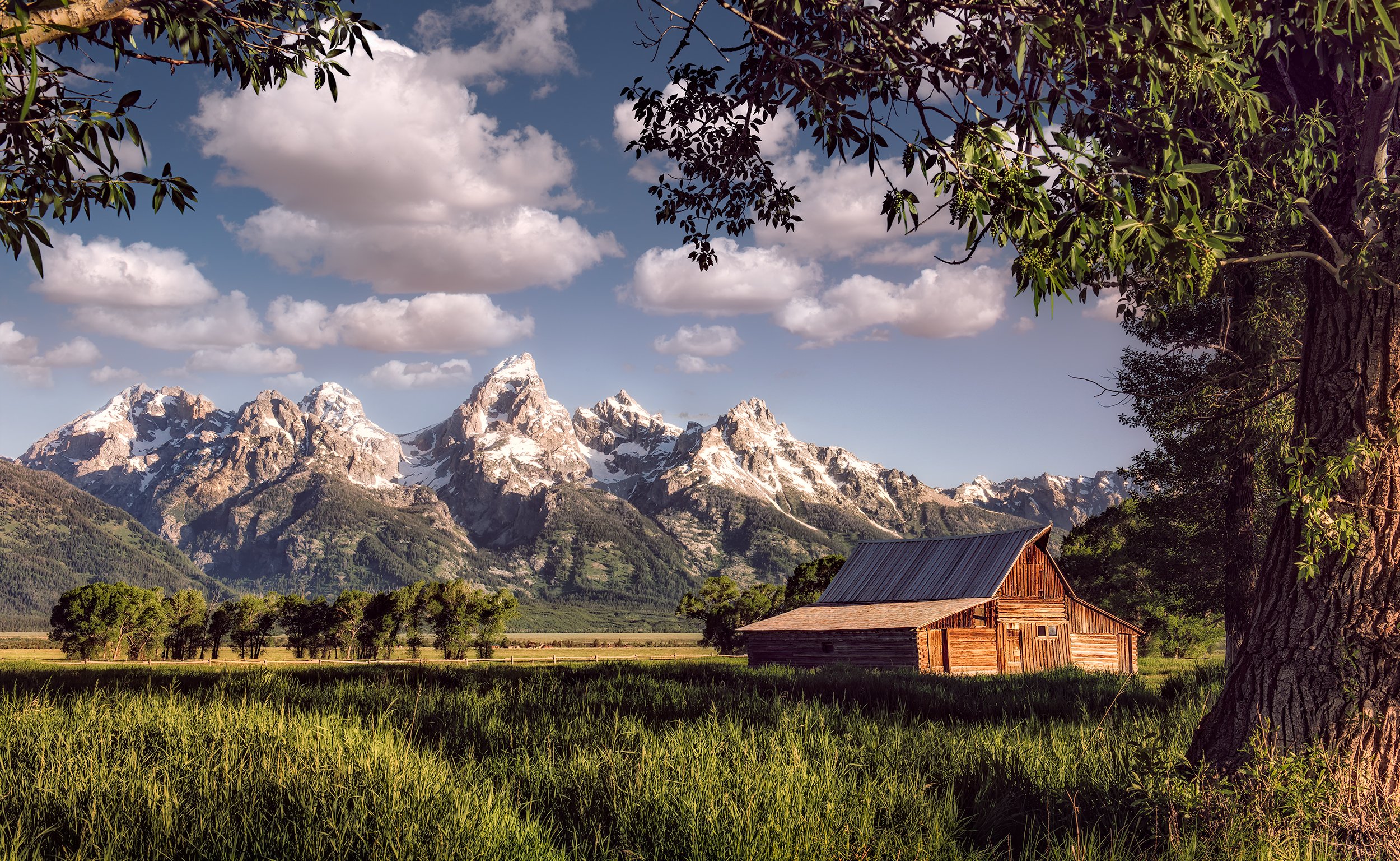 Tetons/Yellowstone–July