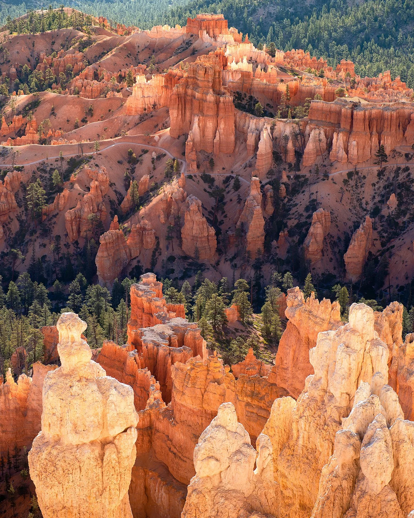 Hoodoos in Bryce Canyon National Park
