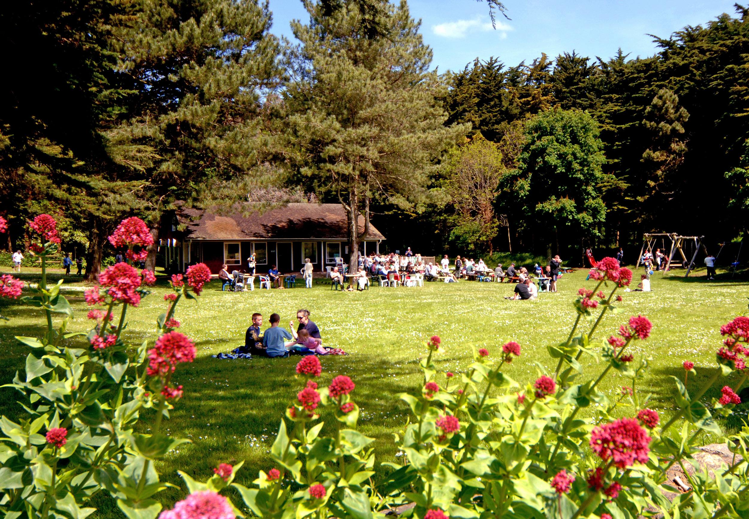 Caldey cafe.jpg