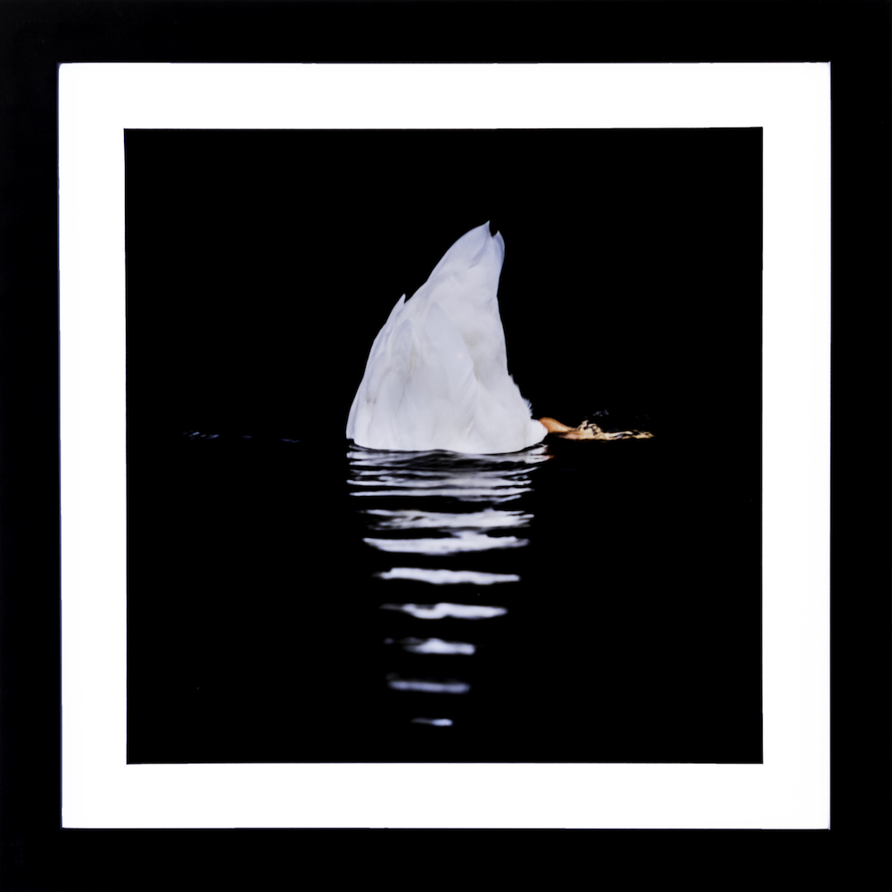 SQUARE_FRAMED.png