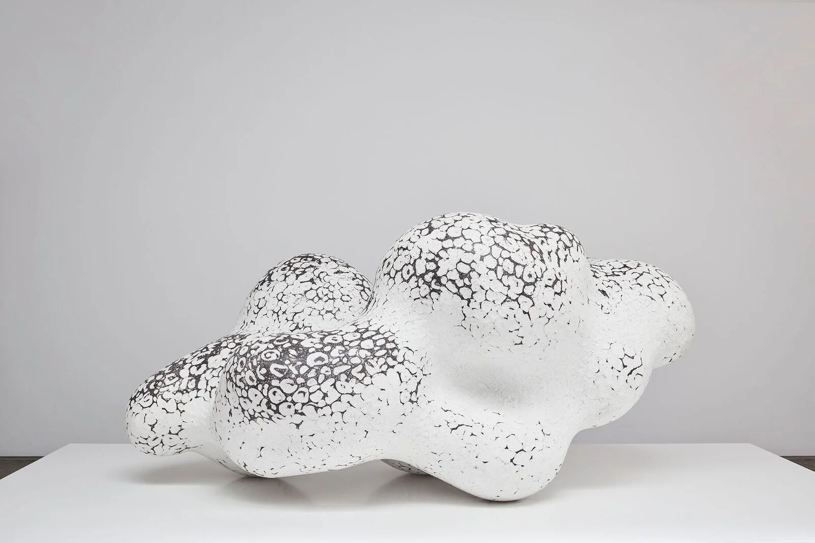 Sangwoo Kim, 'Winter' Credit: Lauren Coleman