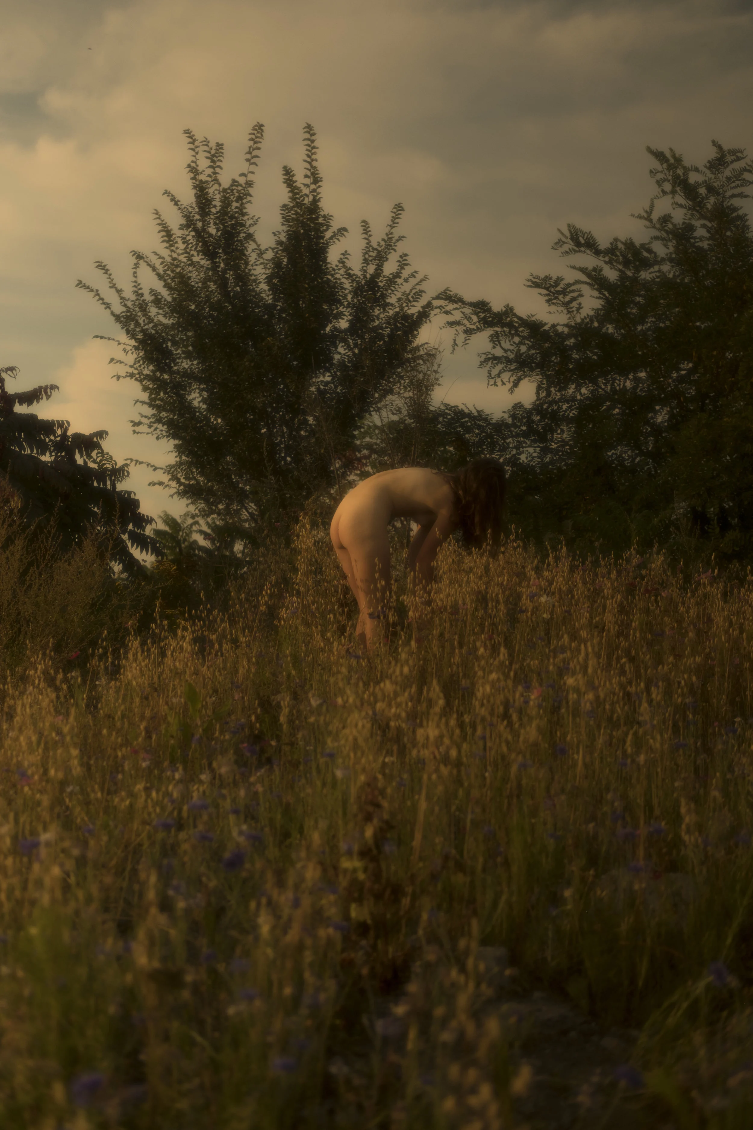 The Work of Montreal Based Photographer Le Pigeon on Anniversary Magazine