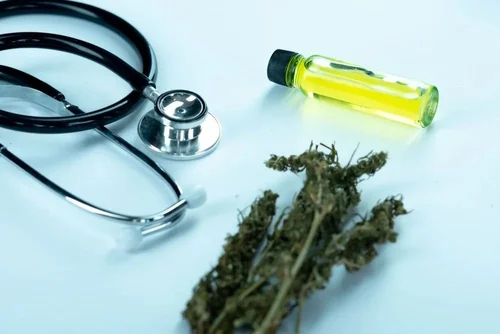 Medical Cannabis in Kentucky: 2025 Set to Be a Game-Changer