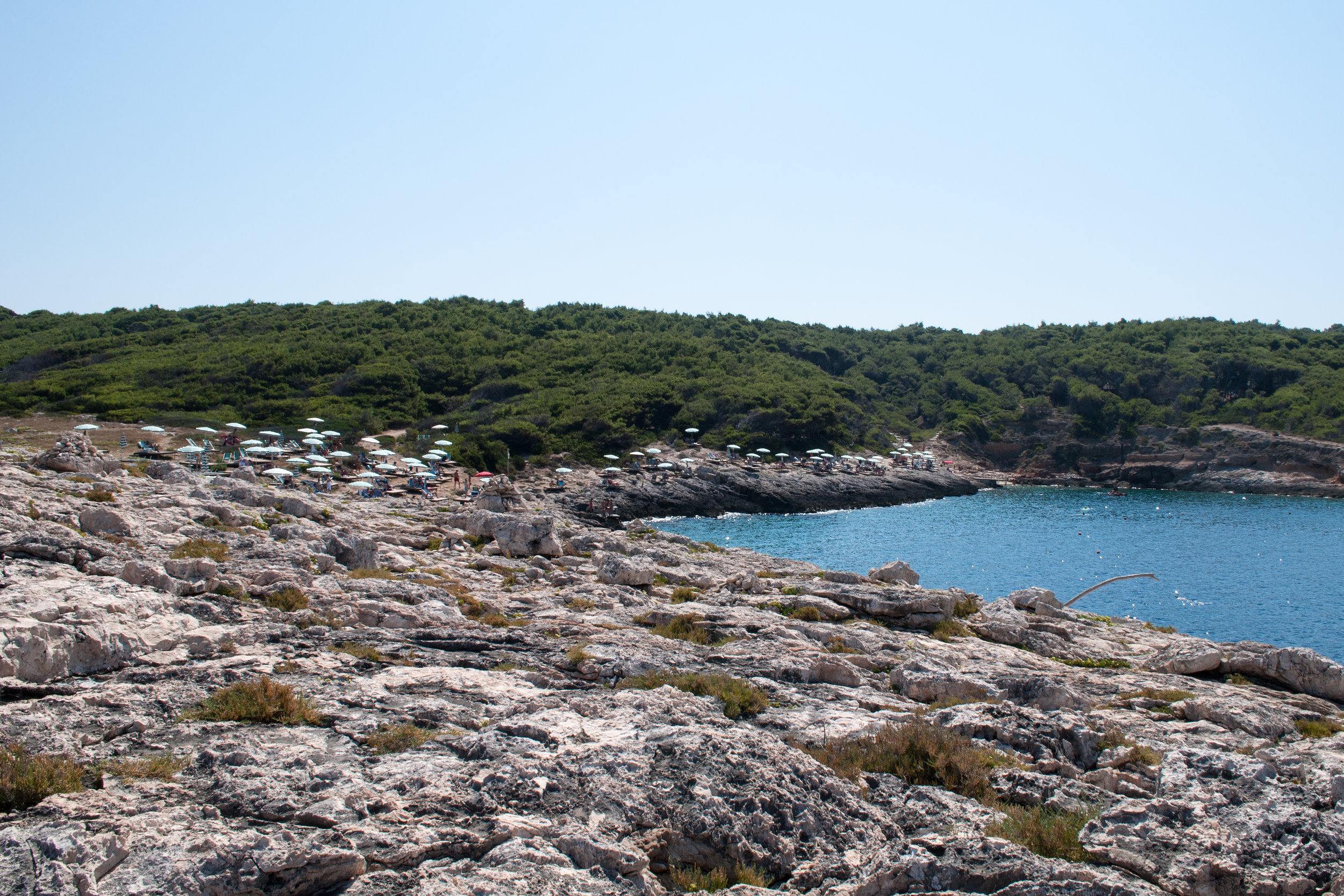 A long shot of a rocky island with lush trees in the distance.
