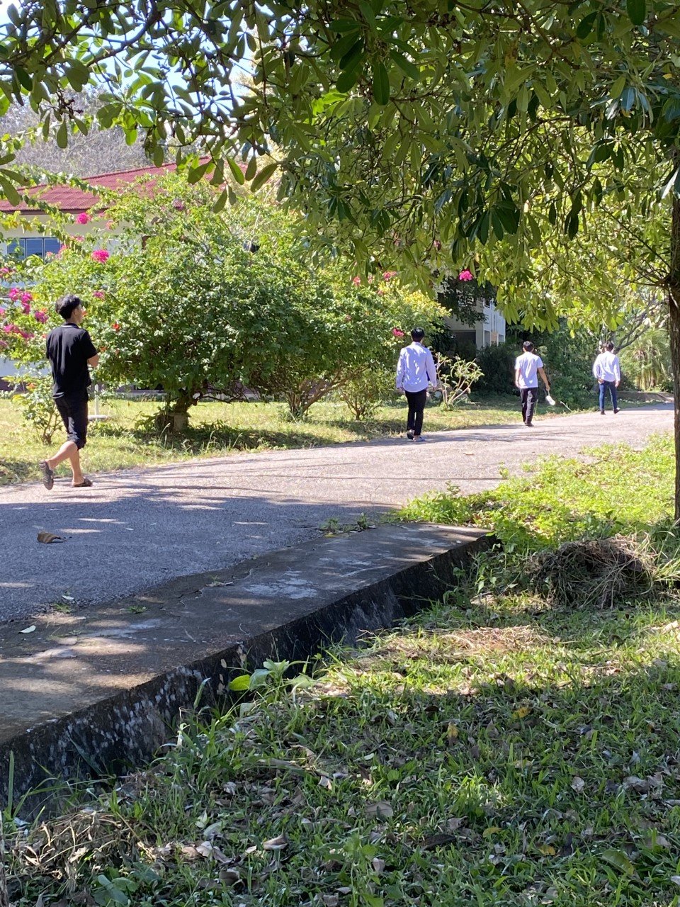 Students walking to their afternoon classes after lunch