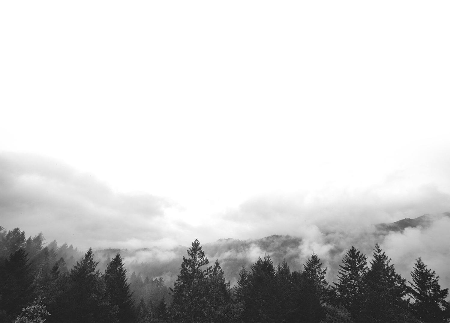 mountains-clouds-forest-trees_V3.png
