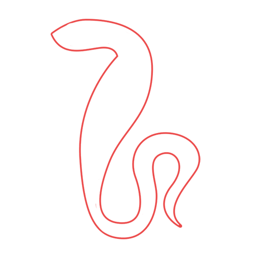 ch-icon-5.png