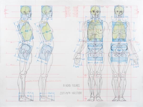 Human Anatomy Proportion Chart 8 Head — H&R Studio