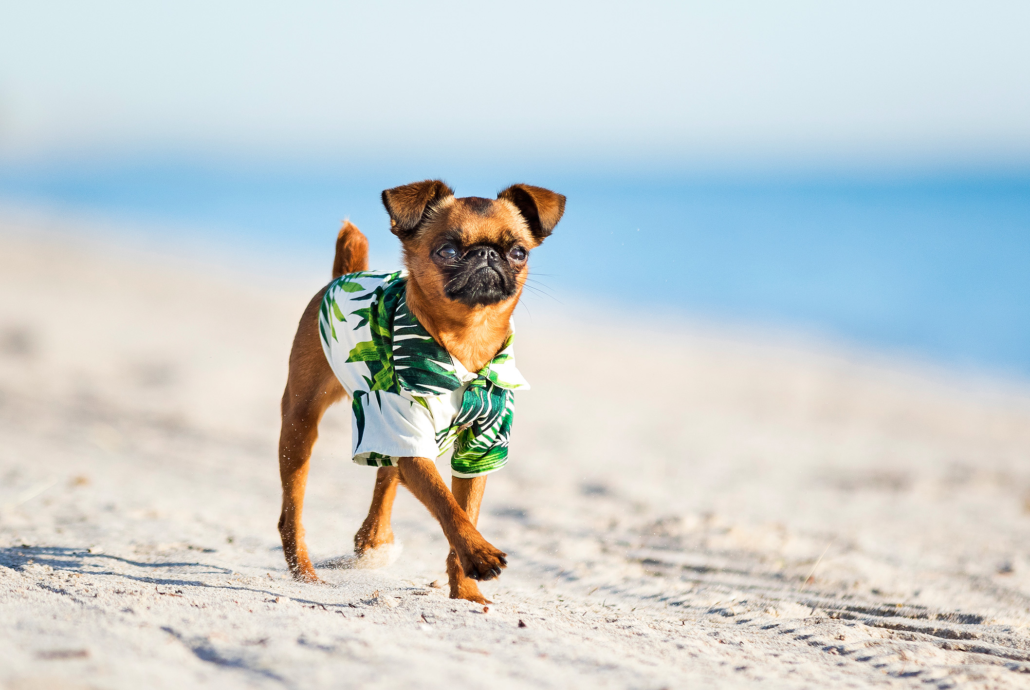 Penny - Fort Lauderdale Beach