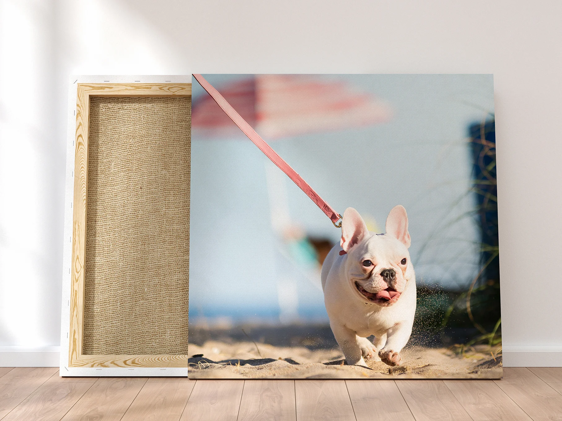 CANVAS.jpg