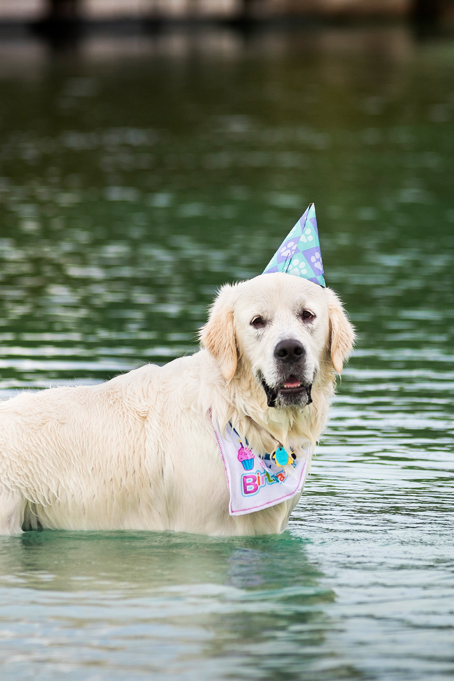 PHOENIXS_BIRTHDAY_101.jpg