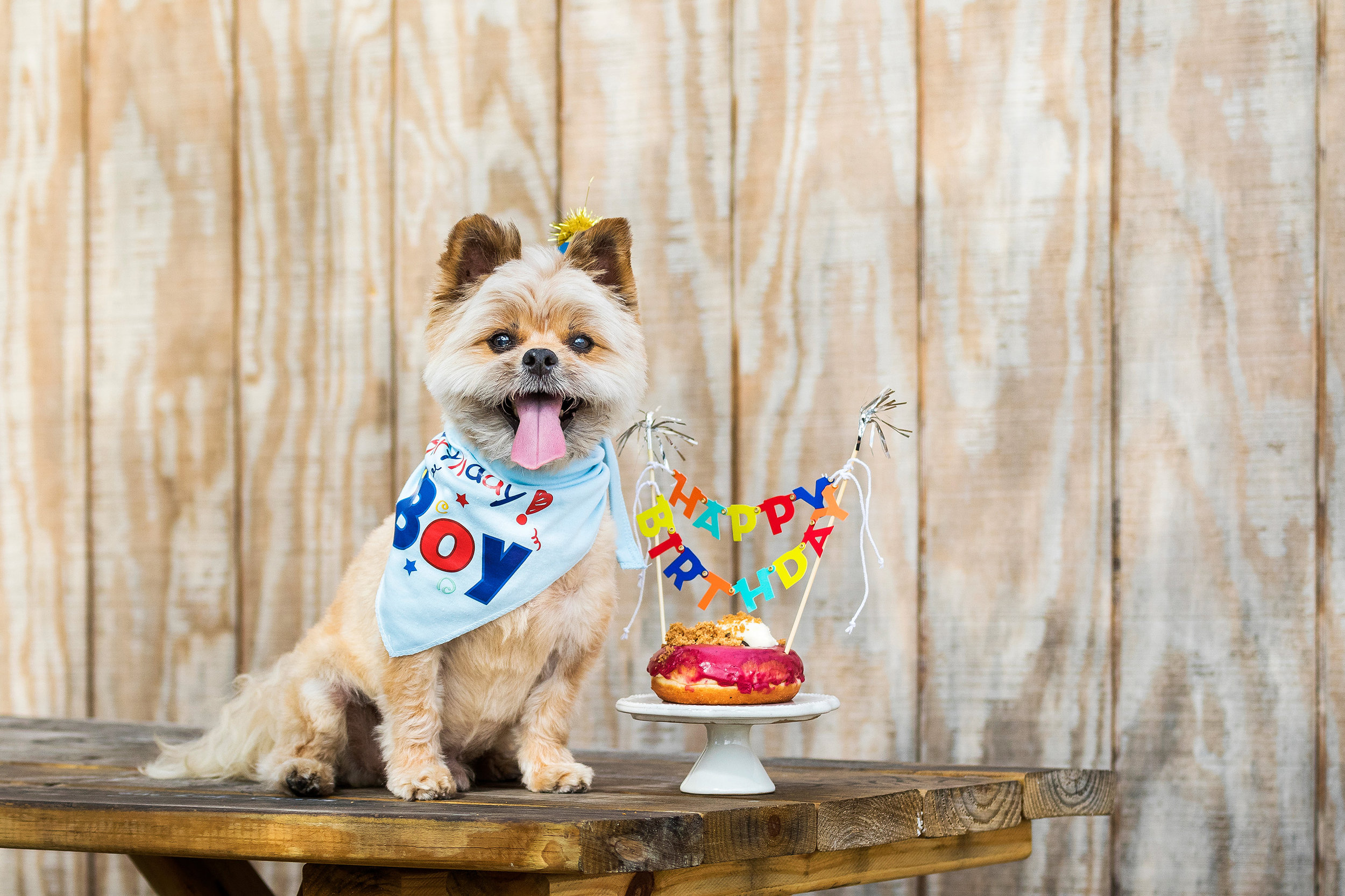 HERSHEYS_13TH_BIRTHDAY_04.jpg