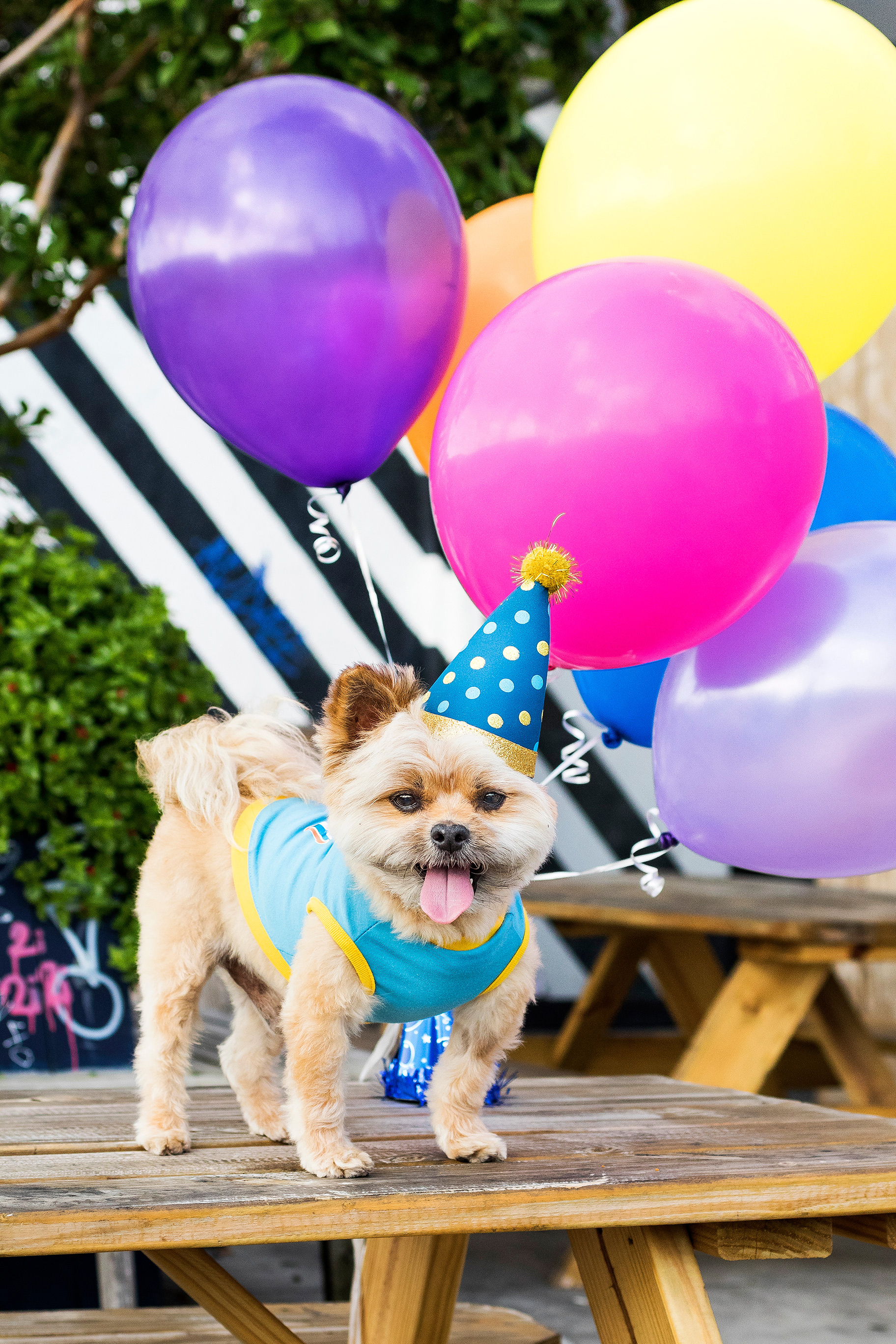 HERSHEYS_13TH_BIRTHDAY_03.jpg