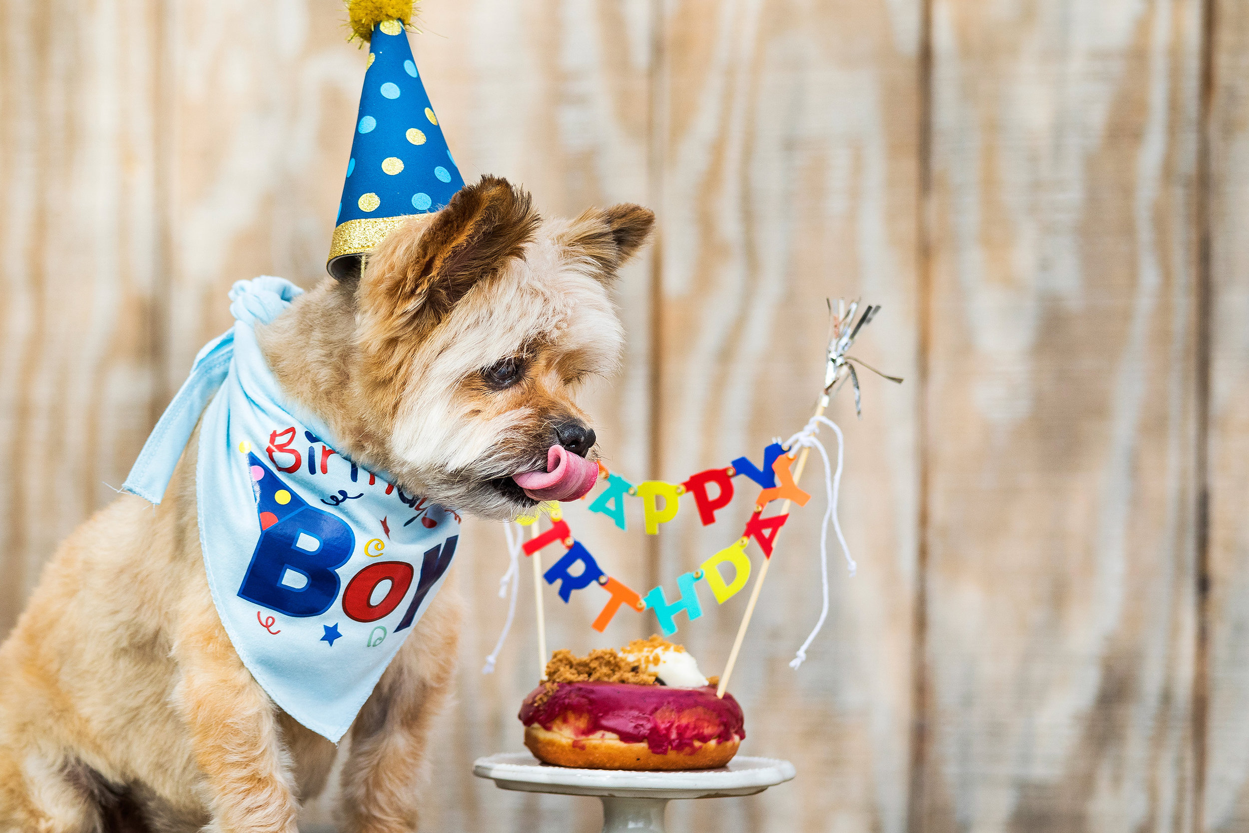 HERSHEYS_13TH_BIRTHDAY_06.jpg
