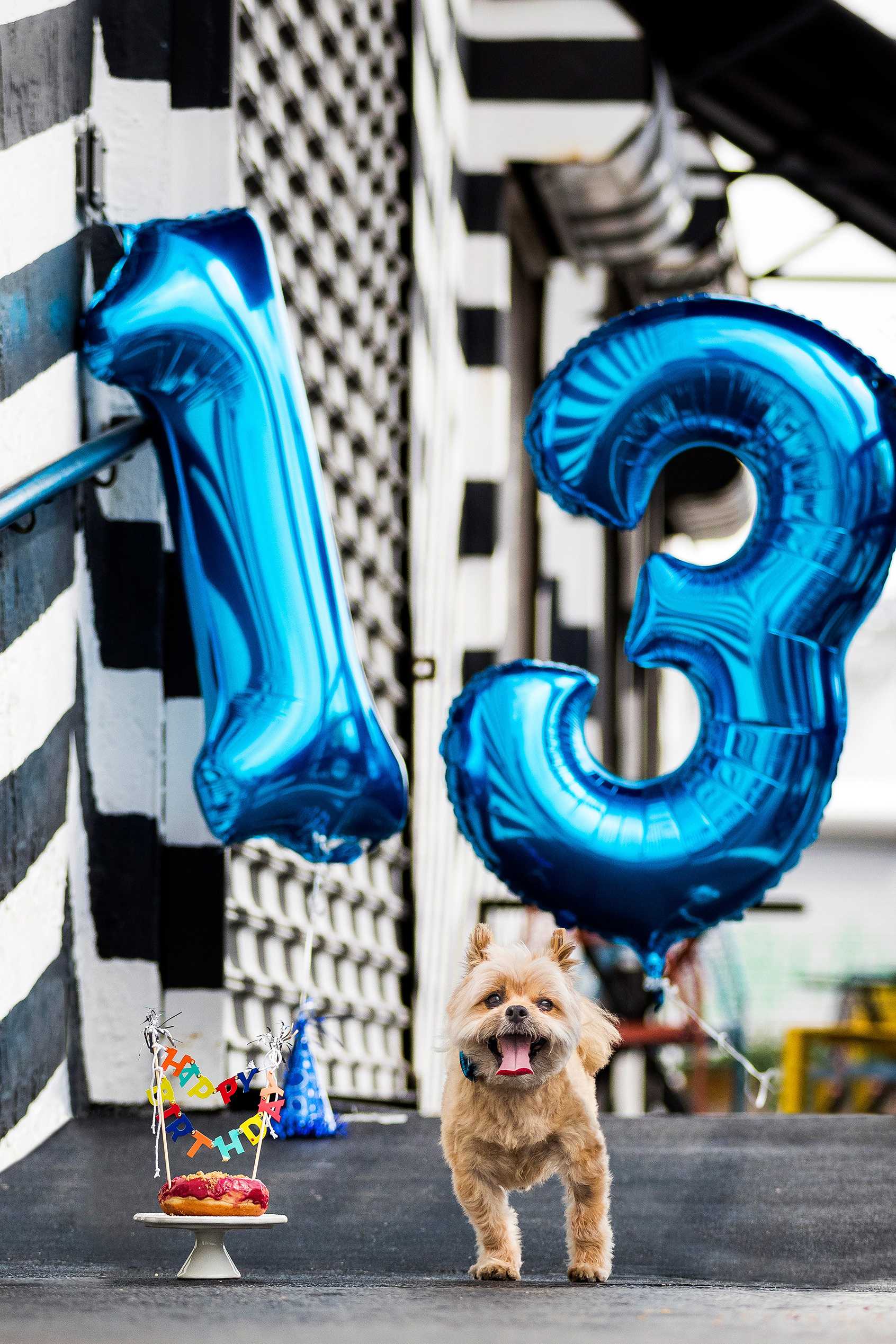 HERSHEYS_13TH_BIRTHDAY_10.jpg