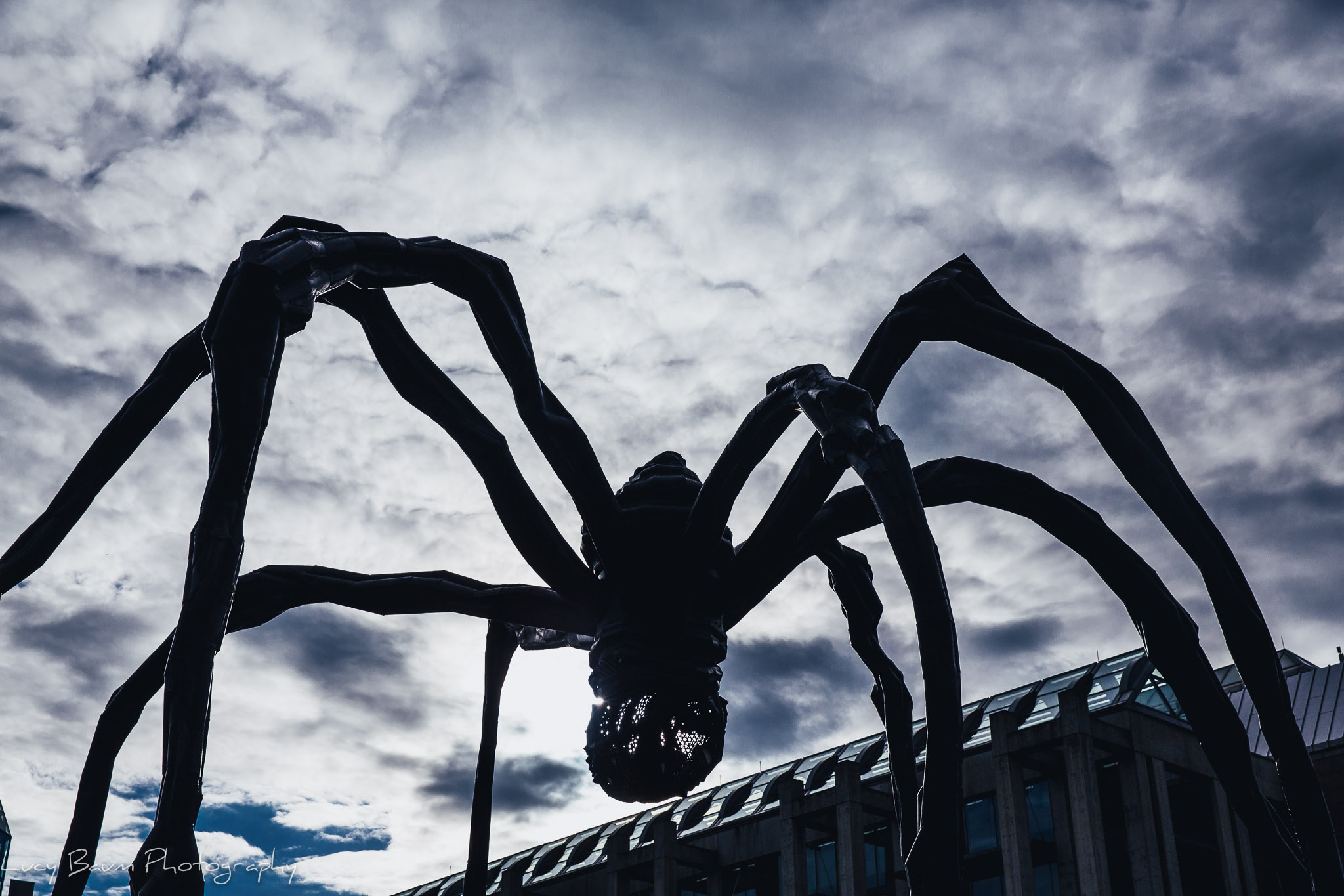  This spider statue looms over tourists at the National Gallery, where Kumo, the giant spider sits atop the cathedral nearby. 