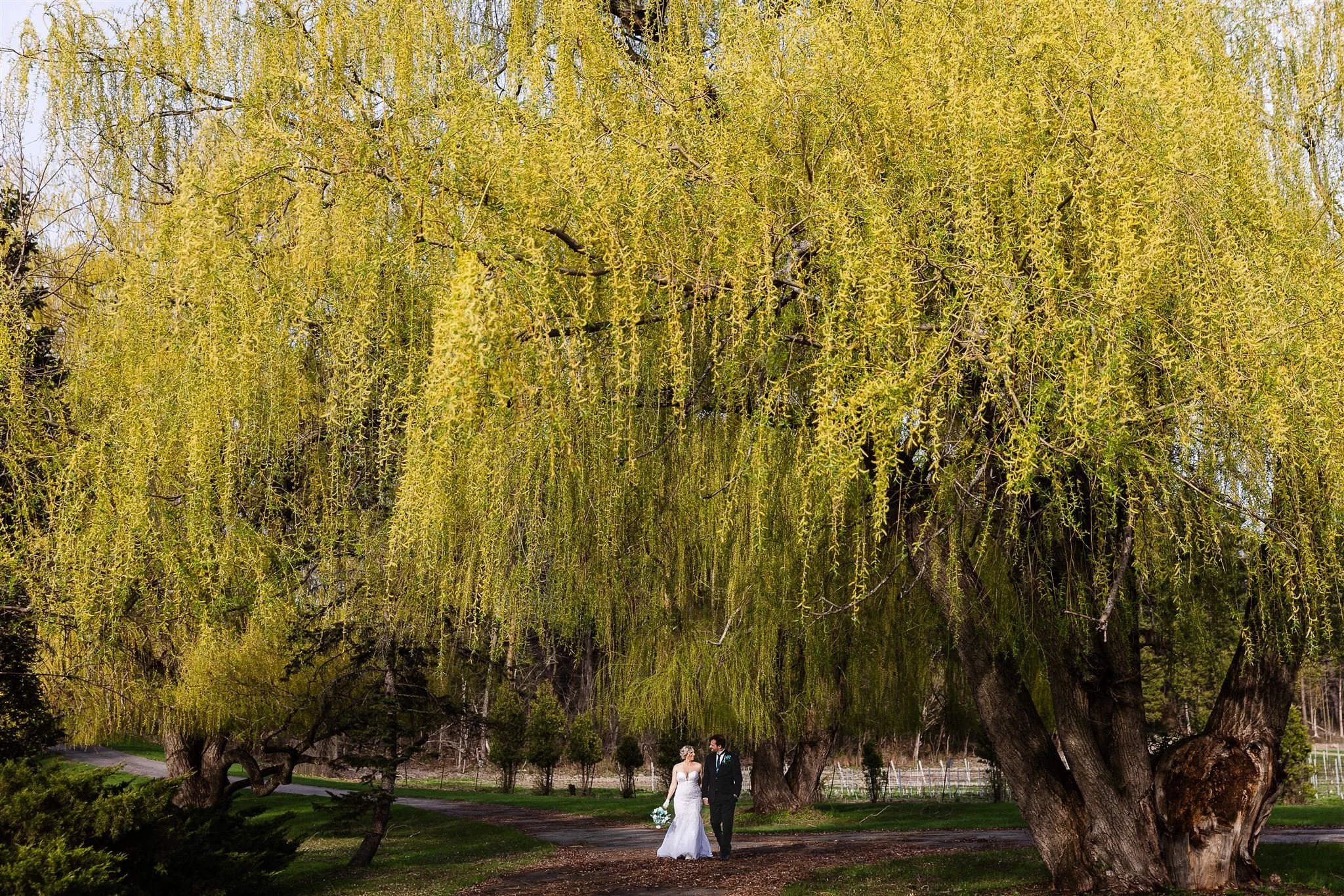 Lucy-Baum-Montreal-Wedding-Photographer-Souffle-de-Vie-H-4_websize (1).jpg